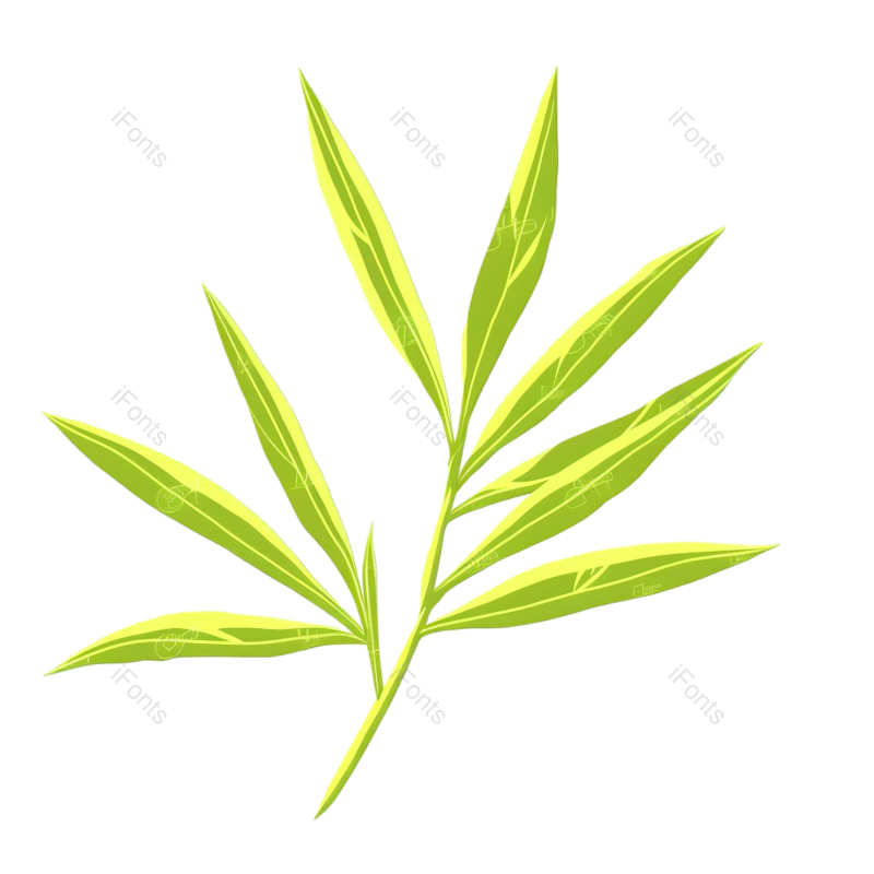 叶子图片,元素元素,竹子PNG,树叶免抠素材